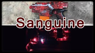 Sanguine The Ultimate Nerf Sidearm Build [upl. by Vickie]