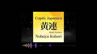 November 6 2024  Coptis Japonica 黄連 Short Version  Nobuya Kobori Original Piano Song Shorts [upl. by Lemaj864]