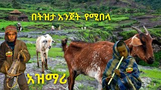 Ethiopia ምርጥ የትዝታ አዝማሪ ማሲንቆ  Best Ethiopian Traditional Azmari Masinko 557 [upl. by Abernon]