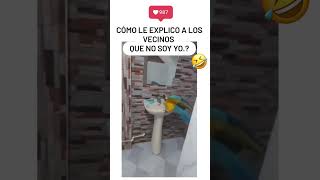 Este Pequeño Loro Lo Hace de Nuevo  😂 shorts humor [upl. by Hurless]