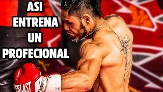 Boxeador muestra su entrenamiento de boxeo completo  J Miguel Borrego [upl. by Gujral]