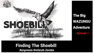 quotFinding the Shoebillquot  Bangweulu Wetlands  ZAMBIA [upl. by Ahsikym]