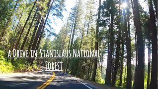 Driving in Stanislaus National Forest [upl. by Huei872]