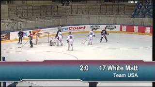 USA vs Slovakia  2013 IIHF InLine Hockey World Championship [upl. by Arron]