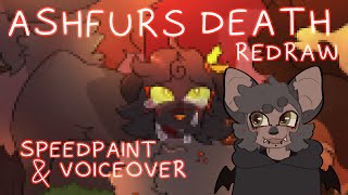 I Redrew Ashfurs Death 2 Years Later  SPEEDPAINT  VOICEOVER [upl. by Nysilla597]