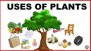 Uses of Plants for kids  Use of Plants  Plants and their uses [upl. by Oicnevuj]