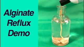 How Alginate Helps Control Reflux RealLife Demonstration [upl. by Noitna]