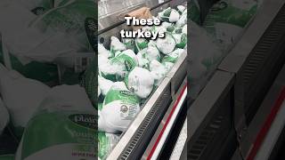 Costcos turkeys are finally here [upl. by Hajidahk]