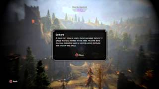 Dragon Age Inquisition  Shards in the Hinterlands Ocularum Details 44 Shards Spotted Tutorial [upl. by Marika]