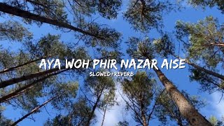 Aya Woh Phir Nazar AiseSlowedReverbsong [upl. by Eudoca]