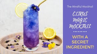 Citrus Magic Mocktail Recipe  Summer Mocktails and NonAlcoholic Cocktails  The Mindful Mocktail [upl. by Domel]