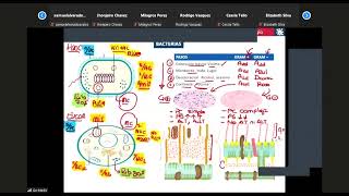 Farmacología II  Clase 10  Antibióticos [upl. by Olotrab]