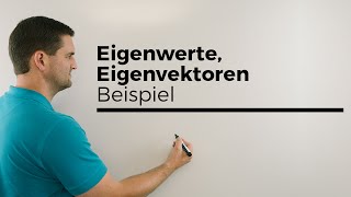 Eigenwerte Eigenvektoren anschaulich am Beispiel Punkt abbilden Abbildung Mathe by Daniel Jung [upl. by Abehshtab]