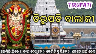 Tirupati Balaji Temple Darshan  Tirumala Tirupati Balaji Tour Guide amp Budget Trip Plan [upl. by Casimire176]