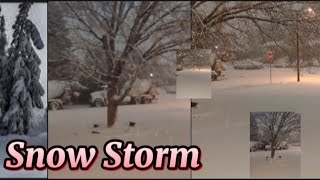 Snow Storm OutsideWinter is HereSnow FallingColoradoAsmr shortsfeed [upl. by Neesay15]