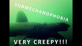 Submechanophobia test with creepy music [upl. by Kceb]