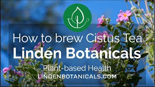 How to Brew Cistus Tea  Linden Botanicals [upl. by Zurciram257]