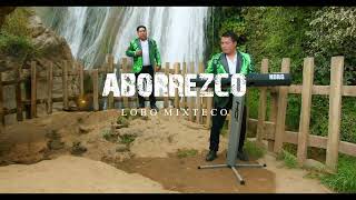 LOBO MIXTECO  ABORREZCO Video Clip 4k [upl. by Tiemroth]