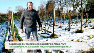 La protection de la vigne en hiver  Viticabrol [upl. by Golden]