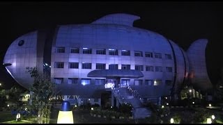 Beautiful Fish Building In Hyderabad NFDB [upl. by Hayikat]