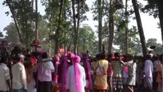 Baahar Raini Bastar Dussehra palanquins et danses tribales [upl. by Alysia]