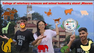 College of veterinary sciences and animal husbandry aizawlmizoramCAU [upl. by Bonina]