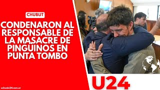 Chubut Condenaron al responsable de la masacre de pingüinos de Magallanes en Punta Tombo [upl. by Annazor]