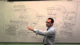 Company Law Lectures for CACSCMA Video  PROSPECTUS [upl. by Nuahsyt]