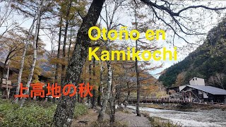 Otoño en Kamikochi Estado de Nagano japan  Del puente kappabashi hasta Tokusawa 604km [upl. by Eolhc472]