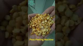 Yellow Peas Peeling machine Peas Splitting Machine peas yellowpeas peeling peelingmachine [upl. by Aika]