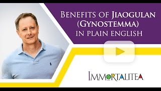 Benefits Of Jiaogulan Gynostemma in Plain English [upl. by Haila696]