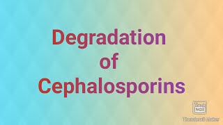 Degradation of Cephalosporins [upl. by Nalniuq]