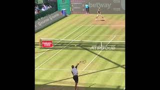 Tennis Zverev vs Hurkacz  ATP 500 Halle 2024 Semifinal [upl. by Anauq794]