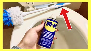 The TRUTH About WD 40 vs TOILET for Cleaning The One TRICK Everyone Should KNOW  Andrea Jean [upl. by Carlota]