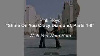 Pink Floyd  Shine On You Crazy Diamond Parts 19 Full Length Lyrics [upl. by Ten201]