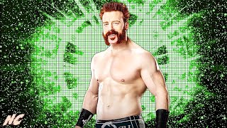 WWE quotWritten In My Facequot w Hellfire Intro Sheamus 2024 NEW Theme Song Arena Effect  ᴴᴰ [upl. by Nimrac]