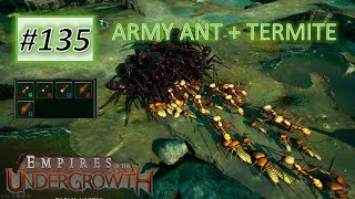 Empires of the Undergrowth 135 Super Combination  Army Ant With Termite [upl. by Gosselin]