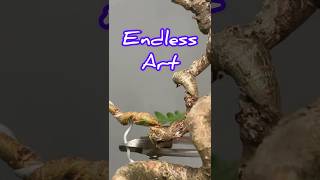 Making Bonsai Trees Is Like Educating Children [upl. by Akived527]