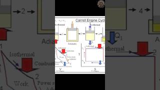 Carnot Engine Cylcl ststatus mechanical viralvideo sorts sortsvideo viralvideos videos [upl. by Etnad637]