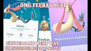 POKEMON GO FEEBAS NEST  FASTER AND BEST WAY TO GET MILOTIC  FEEBAS MILOTIC WILD MILOTIC [upl. by Emearg]