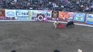 GANADERÍA DE TOROS BRAVOS CHICURO  APURIMAC [upl. by Reyem]