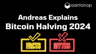 Bitcoin Halving 2024 How Its Different This Time Myths Debunked Bitcoin Bugs and More [upl. by Ventura]