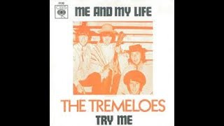 The Tremeloes Me And My Life Lyrics [upl. by Mitzi501]