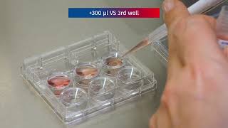 Embryo Vitrification Open System  The Cryotop Method [upl. by Asilanna]