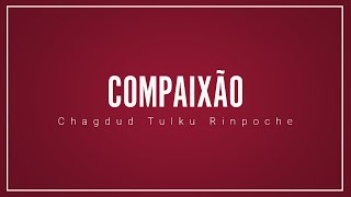 Ensinamentos sobre a compaixão  Chagdud Tulku Rinpoche [upl. by Bartosch]