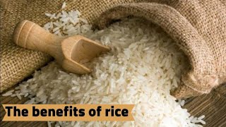 The benefits and disadvantages of rice [upl. by Eceerehs]