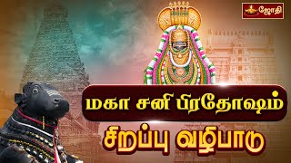 விதியை வெல்லும் சனி மகா பிரதோஷ வழிபாடு  Sani Pradosham பல்வேறு கோயில்களில் இருந்து  Jothitv [upl. by Atiuqaj]