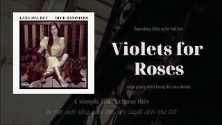 Vietsub  Lyrics  Violets For Roses  Lana Del Rey  Đừng bắt em đánh đổi nhánh tử linh lan [upl. by Sel]