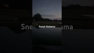 Senad Alabama [upl. by Ynnad]