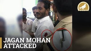 YSR chief Jagan Mohan Reddy injured in attack at Airport [upl. by Veats]